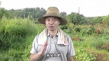 农民也想躺平，饿死瞧不起农民的人渣，以及无良奸商！