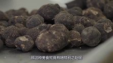 100元一口的“黑松露”，切开外皮后，才知道贵在何处！