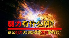 四种基本力之一的弱力有多弱？只比引力强，却能左右太阳的生死。