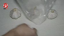 大蒜能存放多久农村大爷教你一招，不干瘪不发芽，放一年都不坏