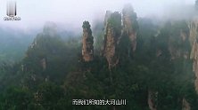 大爷上山采药，无意发现石头缝中有东西