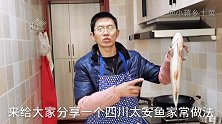 川渝名菜“太安鱼”家常做法分享，麻辣酸香，超级鲜美好吃
