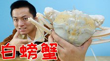 吃超漂亮的澳洲白螃蟹！一斤四百但蟹黄会打消你的购买欲！