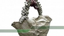 疑用儿童脊椎制作手提袋 富二代设计“人骨包”遭炮轰