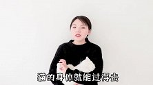 主人让猫咪钻老鼠洞，猫咪钻到一半卡住了！笑得我眼泪都出来了！