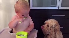 小宝宝吃冰激凌，自己一口，还一边喂狗狗一口！