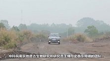 世界级化石宝库在漳浦揭开神秘面纱