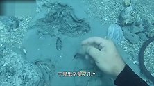 男子在海底发现大量古钱币 捞上岸细看后吓死了