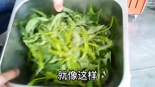 绿油油的空心菜不用两分钟就可出锅，操作很简单