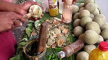 柬埔寨美食新鲜的木苹果，壳硬的像螃蟹一样，打开之后傻眼了！