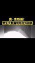 真·食铁兽！野生大熊猫啃坏红外相机 熊猫 相机