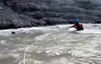 加拿大：两名男子划皮艇时遇麋鹿溺水，湍急河流中将其救出