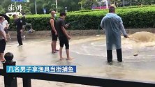 雨后结队路中央捕鱼，女生围观“好大一条”