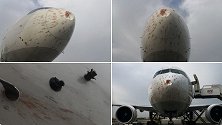 惊险！土耳其一架货机起飞时撞上鸟群 机头严重凹陷血迹斑斑