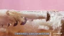 8个月宝宝可以吃米粥和面条，这款辅食营养高易消化，宝宝别错过