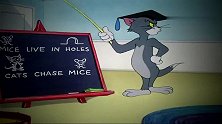 猫和老鼠：汤姆教小猫抓老鼠，没想到小猫和杰瑞成朋友，气炸汤姆
