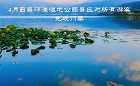 4月邛海湿地公园景区对所有游客免收门票
