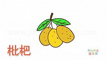 水果简笔画大全，画卡通枇杷简笔画