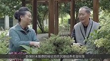 2020年起，失地农民基础养老金将提高至340元每月