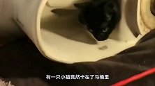 铁轨上卡着一块奇怪的石头，男子好奇走近一看，下一秒难以置信！