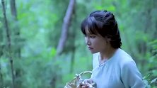 李子柒把小红菇种到了山里，网友：她拥有一座大山，我只能羡慕！