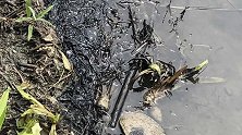 湖北黄石仙岛湖多艘游艇疑似排放废油状污染物 景区回应