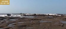 小囿长途跋涉到新海域赶海，冲进巨浪里连抓好货，难怪如此拼命！