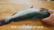 这才是“清江鱼”最好吃的做法，教你烹饪方法和技巧，鲜香无腥味