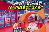 相约进博COACH携手大白兔联袂呈现跨界惊喜