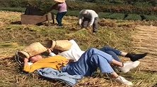 养了二十多年，这两个孙女一下地，就成了这个模样，爷爷都无语了