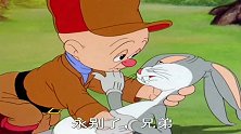 猎人还在忏悔自己杀了兔子，兔八哥这一脚给猎人踢得有点懵