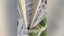 在高层外墙飞檐走壁！南宁一小区惊现“齐天大圣”！多方回应