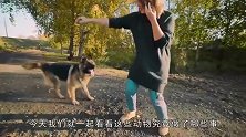 人类之间会互帮互助，动物之间也不例外，它们是怎么交流的？