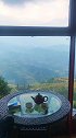 天下第一茶山上风太大无人机不能飞回到客栈房间喝茶