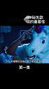人气美女主播下落不明，竟是因为没有了美颜瘦脸和大眼精彩片段 搞笑沙雕沙雕沙雕