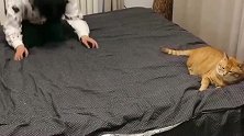 这猫咪重色轻友呀，喜欢跟男生亲近，换成女生就抗拒了