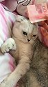 太现实摸不起了