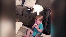 小宝宝，你不是在玩玩具吗怎么被猫咪拿走了！