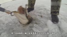 男子冰钓将鱼线放入水中，第二天居然钓个大家伙，众人都惊讶到了