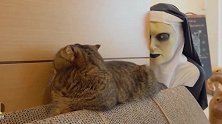 主人戴上鬼脸整蛊猫咪，猫咪看到直后退，猫：这是人干的事吗