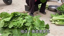 丈母娘做菜窝窝，不忘叫蛋蛋来吃，临走还让小伙抱菜回家，真好