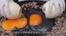 一颗1公斤的鸵鸟蛋，出来满满一锅，蛋之大差点煎不下