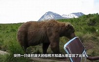 男子野外钓鱼时遇到了熊，可是熊并没有攻击他，而是安静看他钓鱼