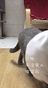 max才是夜猫子。。有没有人收留我睡一晚啊？