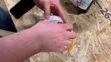 小伙花200美金网购一颗恐龙蛋，切开后，结果让人意外！