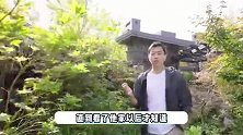 《最强大脑》水哥住宅堪称博物馆！等比复刻霸王龙好壮观