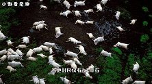 非洲这个杀人湖，一夜夺走2000条生命，专家深入湖底揪出凶手
