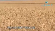 奥巴马成果付之东流，纽约市长发出呼吁：必须与中国重建关系