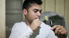 这鹦鹉的乐感好强，跟着主人节拍又唱又跳，没点本事都不敢养鸟了