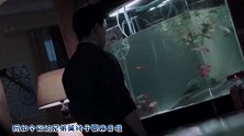 《白夜追凶》兄弟篇来袭，主演不是潘粤明，大家却十分满意
